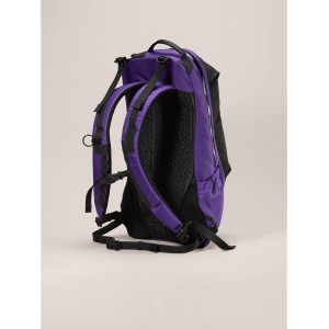 Arcteryx Arro 22L Backpack / LOLA  ( 10-14 天發貨)